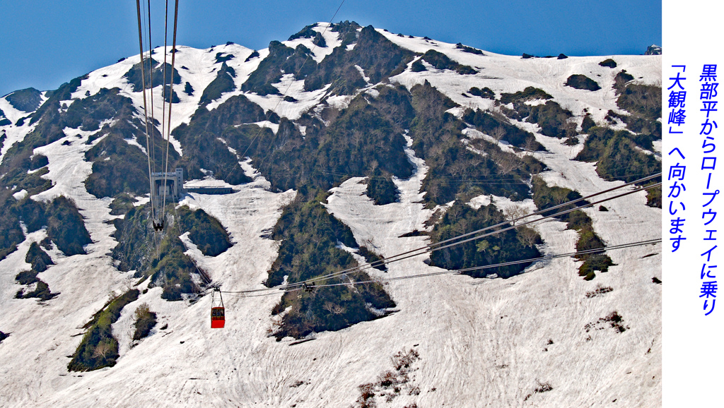 残雪の立山・黒部アルペンルート2006(11)