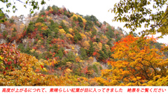 秋色の両神山登頂2012(22)