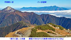 北岳登頂の山旅2006：2日目(20)