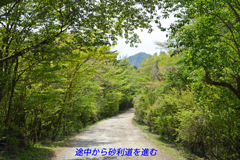 足柄古道を歩いての金時山登頂 2019 (23)