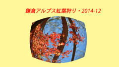 鎌倉アルプス紅葉狩り2014(1)