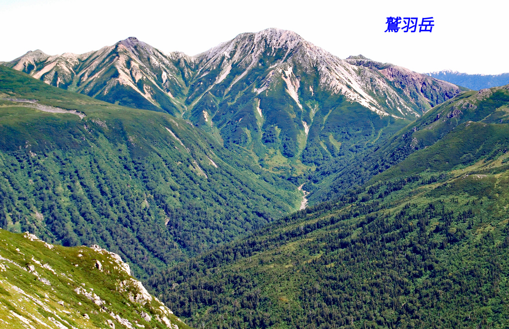 明日登る予定の鷲羽岳(2924m)
