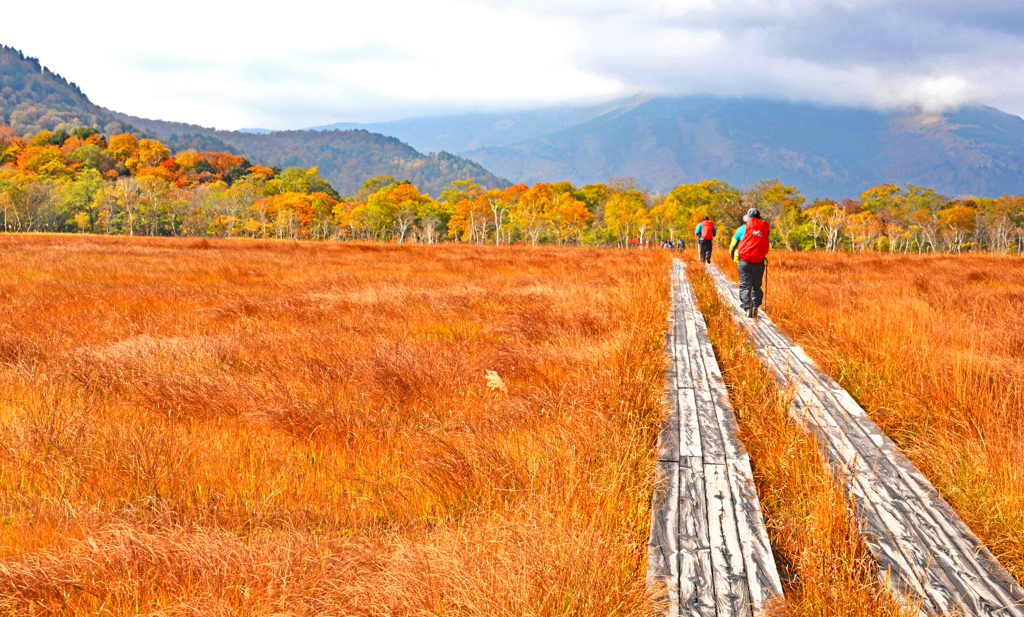 尾瀬の秋の情景(4)