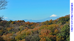 鎌倉アルプス紅葉狩り2014(16)