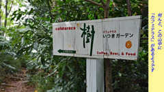 リハビリハイク：鎌倉葛原岡・大仏ハイキングコース2014(26)
