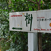 リハビリハイク：鎌倉葛原岡・大仏ハイキングコース2014(26)