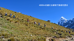 ペルー・アンデス　ブランカ山群トレッキング2015(32)