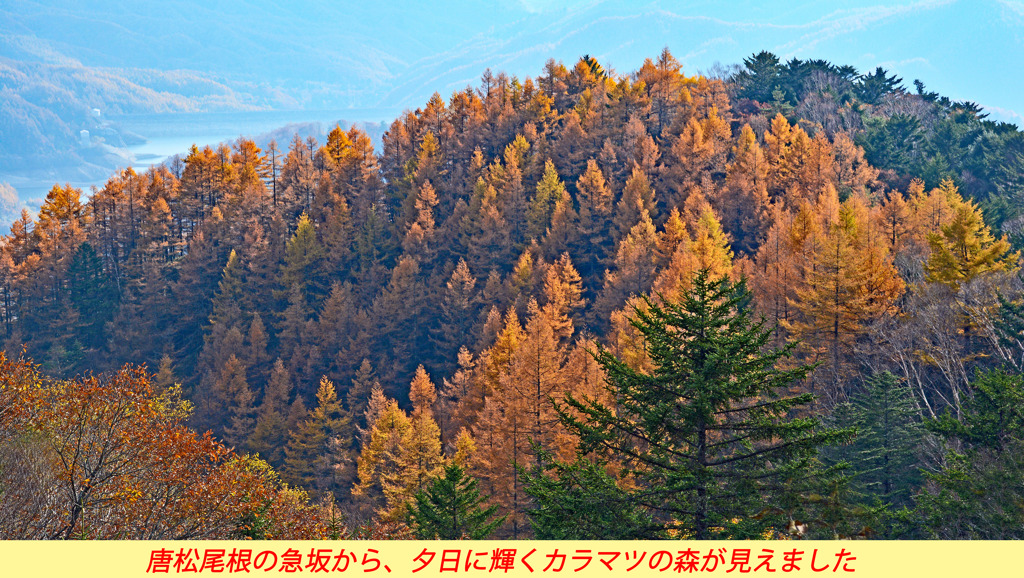 錦秋の大菩薩を歩く2014(40)