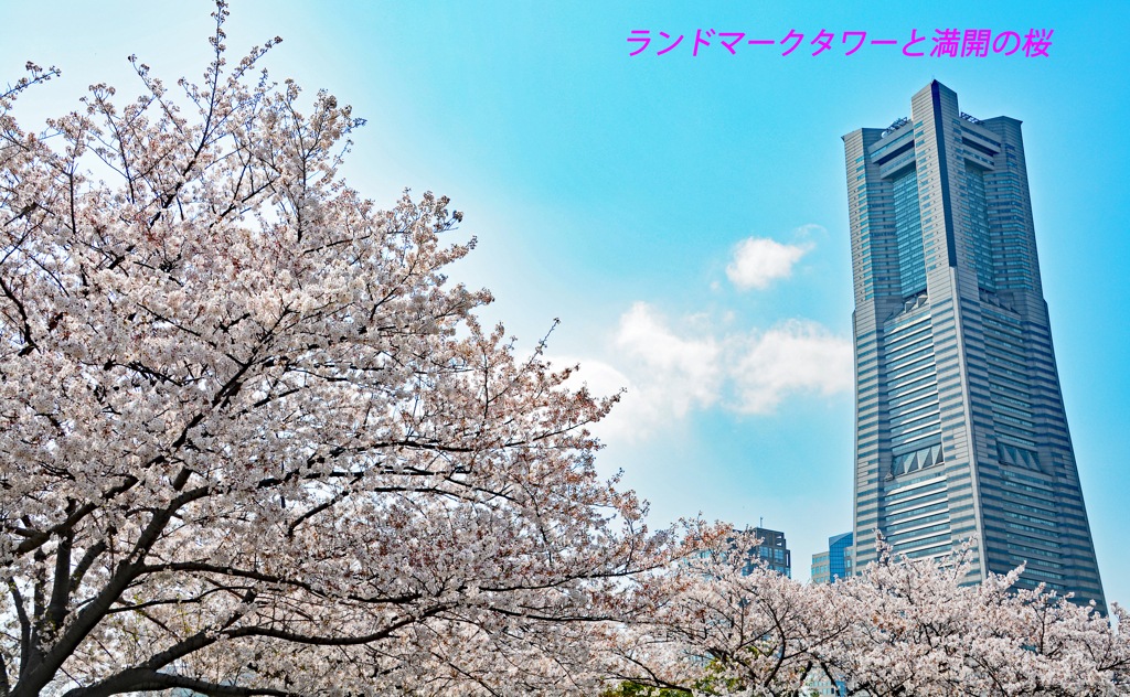 横浜みなとみらい散歩2019(1)