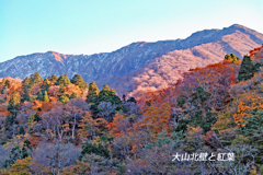 山陰の秋路(大山・三徳山) 2006 (15)