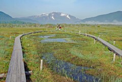 優雅な尾瀬ヶ原の木道 優雅な尾瀬ヶ原の木道