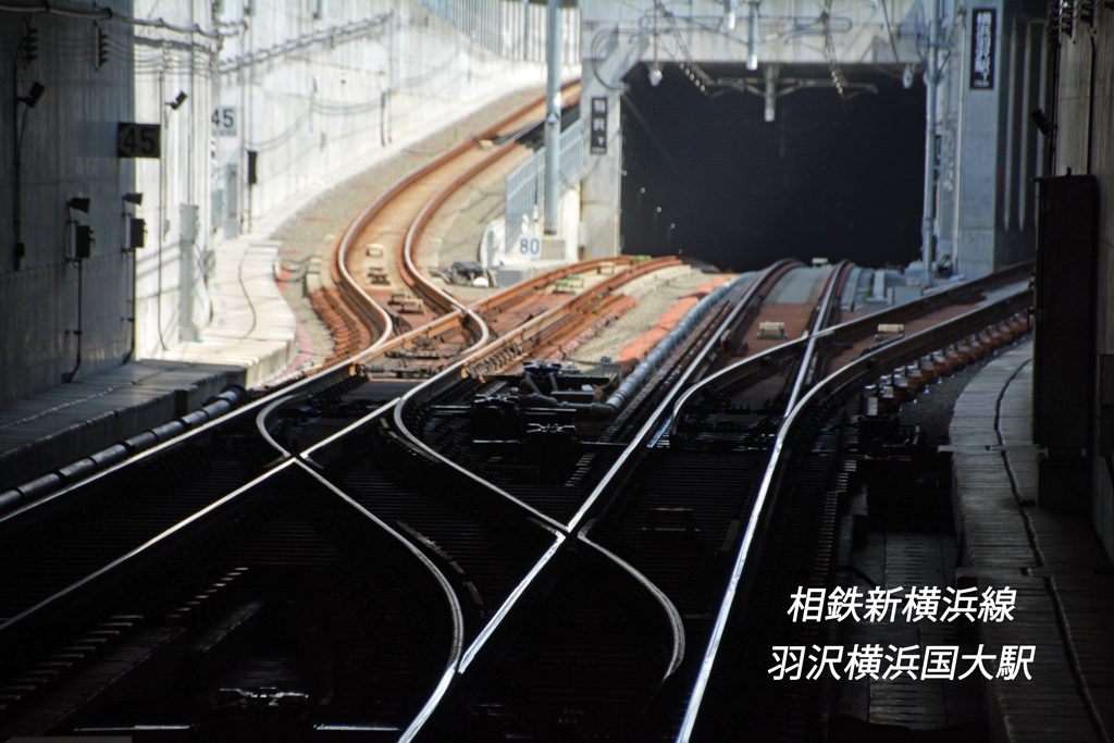 相鉄新横浜線五景(1)二つの分岐線を持つ線路網