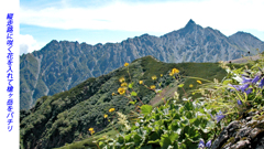 槍ヶ岳登頂の山旅2003：3日目(22)