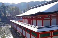 雪化粧の宮島2015(3)