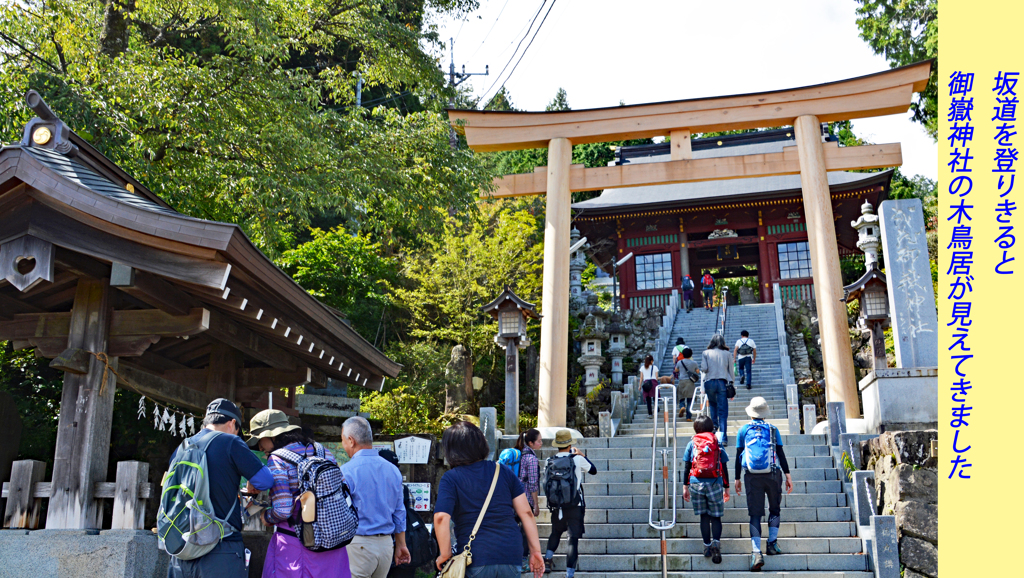 リハビリ山行：御岳山2014(26)