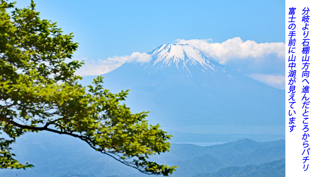 シロヤシオ探訪山行 in 檜洞丸2014(28)