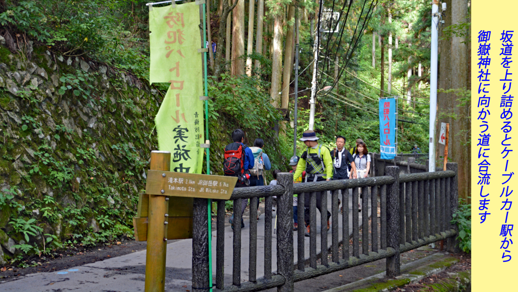 リハビリ山行：御岳山2014(21)