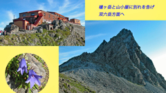 槍ヶ岳登頂の山旅2003：3日目(17)