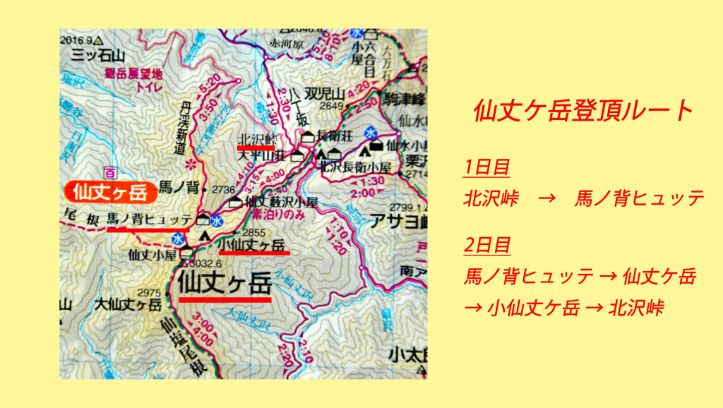 仙丈ケ岳登頂の山旅2001：2日目(31)