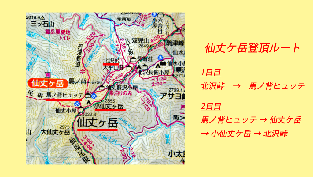 仙丈ケ岳登頂の山旅2001：2日目(31)