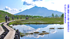 初夏の尾瀬の山旅2007(11)