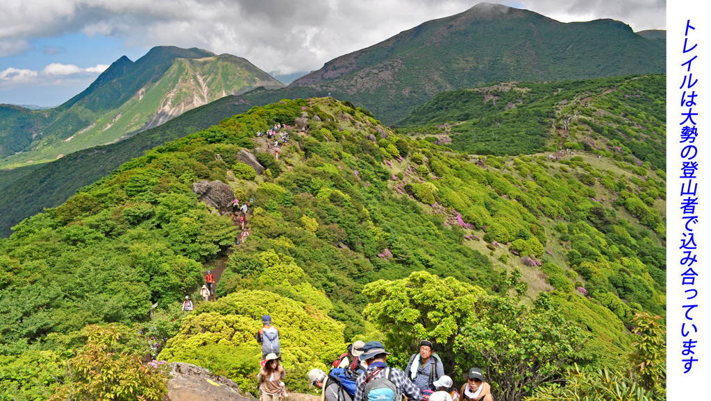 ミヤマキリシマ探訪山行 in 九重連峰2012：1日目(3)