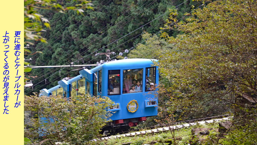 リハビリ山行：御岳山2014(9)