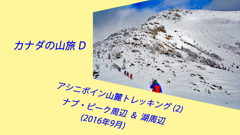 カナダの山旅 D アシニボイン山麓トレッキング(2) ：2016(1)