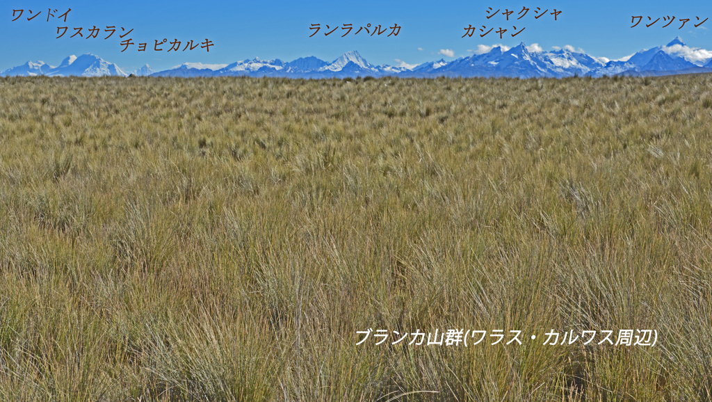 ペルー・アンデス　ブランカ山群トレッキング2015(68)