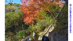 鎌倉アルプス紅葉狩り2014(12)