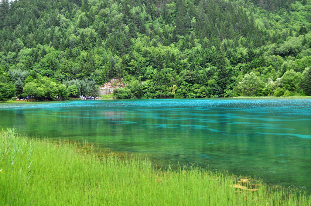 鮮やかなブルーの湖面が神秘的な九寨溝・五花海