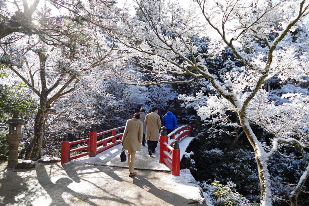 雪化粧の宮島2015(5)