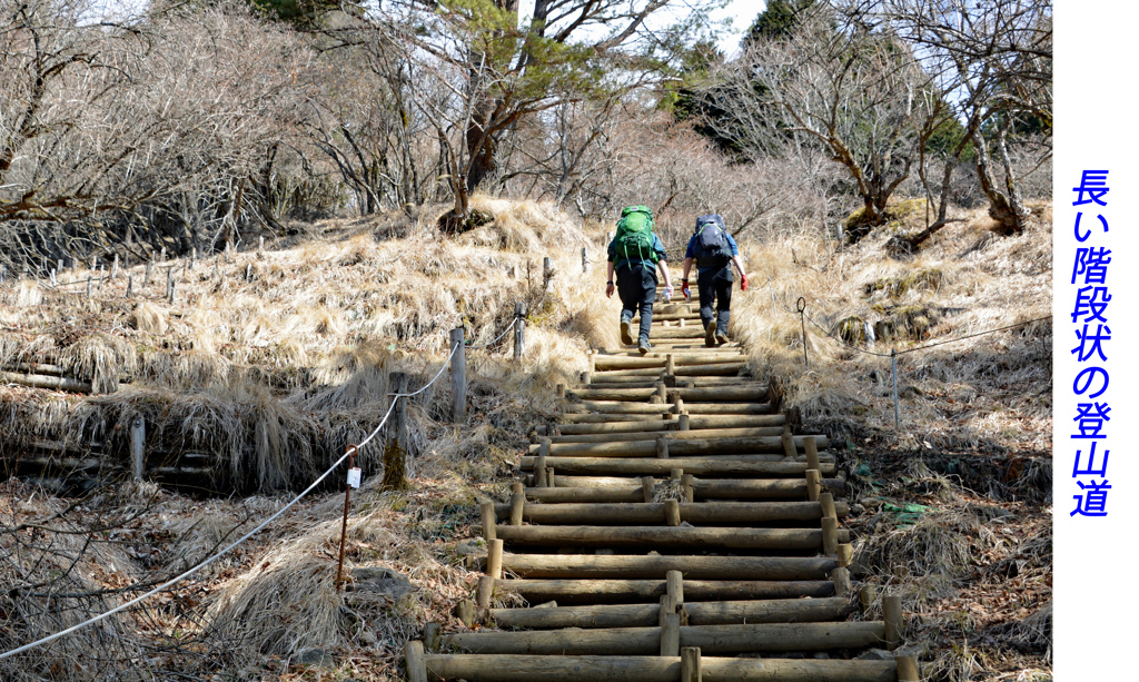 丹沢・塔ノ岳登頂セレクト写真集 2008～2018 (9)