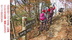 秋色の両神山登頂2012(28)