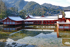 雪化粧の宮島2015(4)