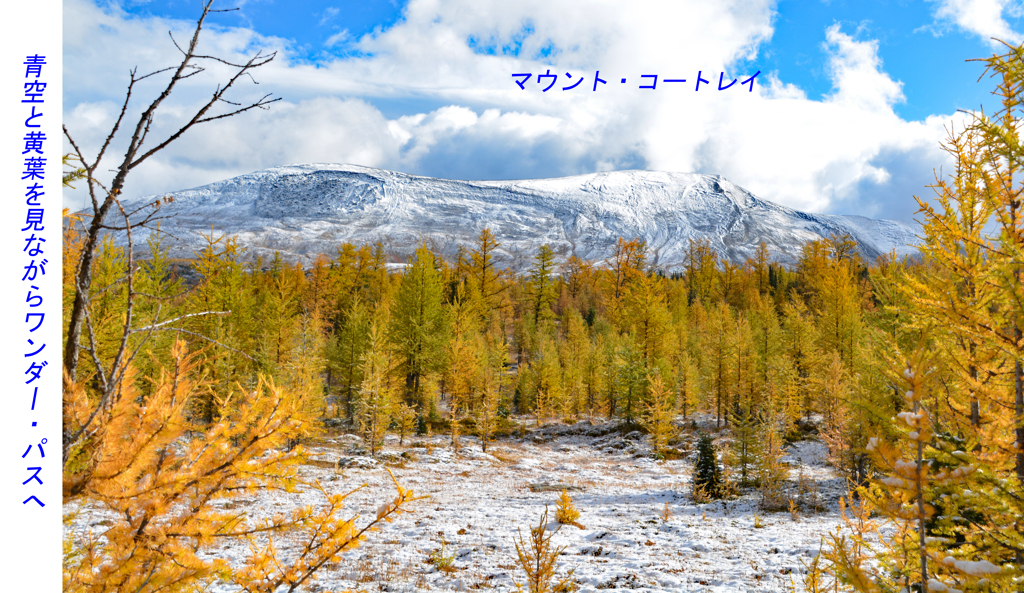 カナダの山旅C　アシニボイン山麓トレッキング(1)：ワンダー・パス(16)