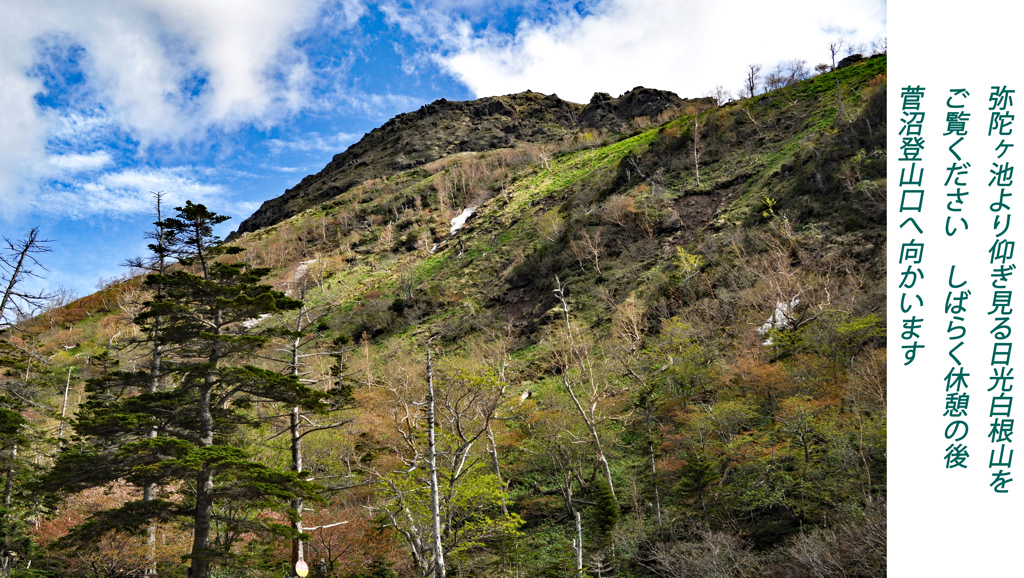 日光白根山登頂の山旅2012(25)