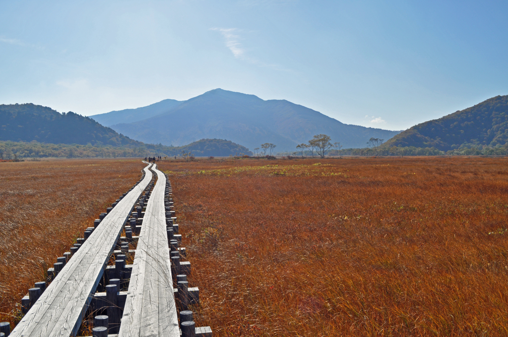 尾瀬ヶ原の木道(4)