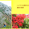 甲斐駒ヶ岳登頂の山旅2005(14)