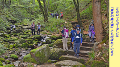 リハビリ山行：御岳山2014(33)