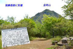 足柄古道を歩いての金時山登頂 2019 (26)