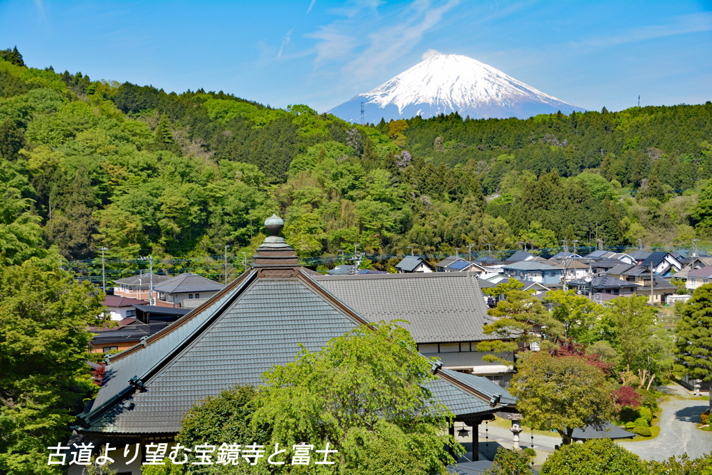 足柄古道を歩いての金時山登頂 2019 (8)