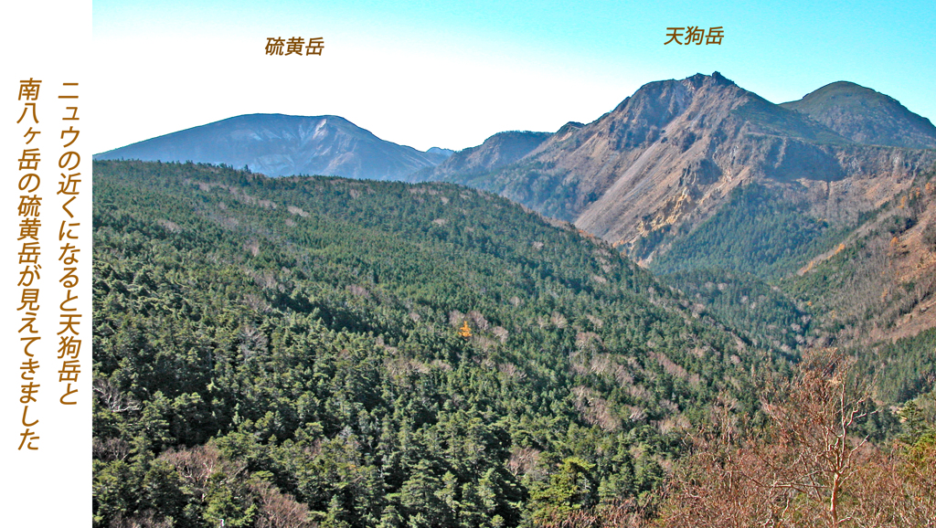 北八ヶ岳の山旅2004(13)