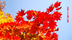 雨飾山紅葉狩り2018(23)