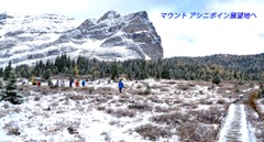 カナダの山旅 D アシニボイン山麓トレッキング(2) ：2016(33)