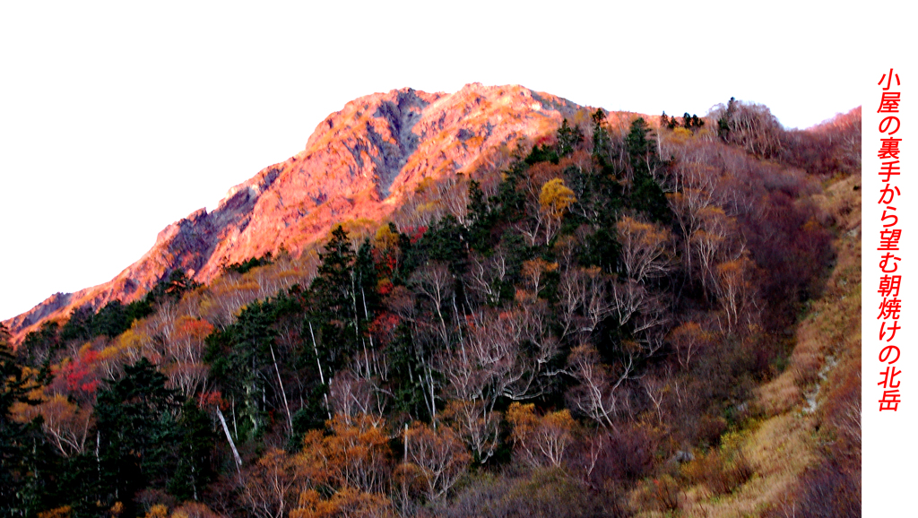 北岳登頂の山旅2006：2日目(5)