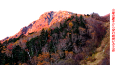北岳登頂の山旅2006：2日目(5)