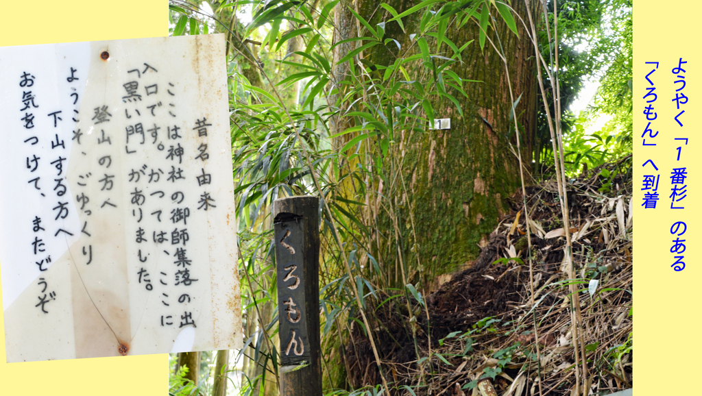 リハビリ山行：御岳山2014(20)