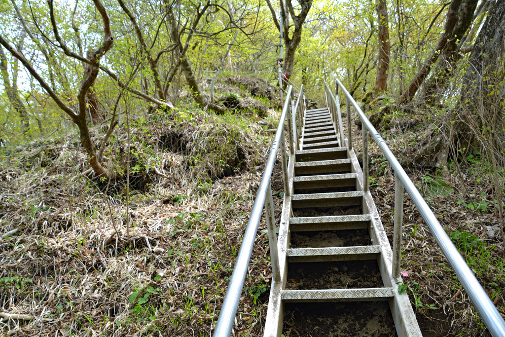 足柄古道を歩いての金時山登頂 2019 (32)