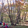 秋色の両神山登頂2012(40)